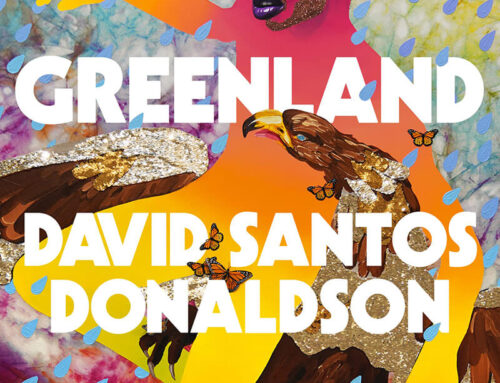 Greenland by David Santos Donaldson