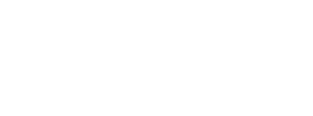 lineup